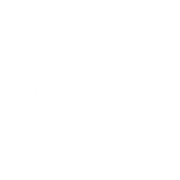 https://www.bradescoseguros.com.br/