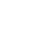 https://www.cfess.org.br/