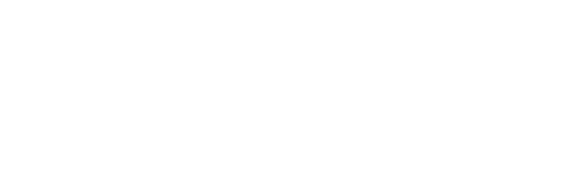 https://www.hospitalsaocamilosp.org.br/